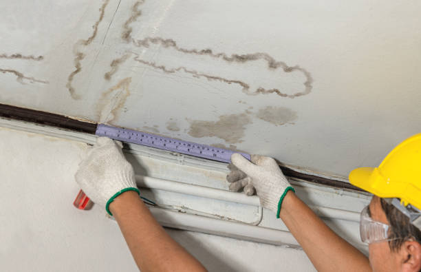 Reliable Water Damage contractor in Pleasant Ridge, MI by Water Damage Irwin